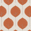 tigerlily