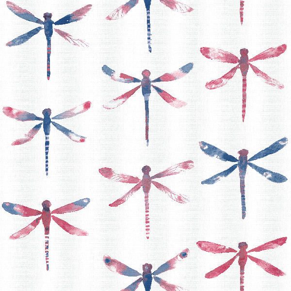 Anax