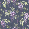 rosea