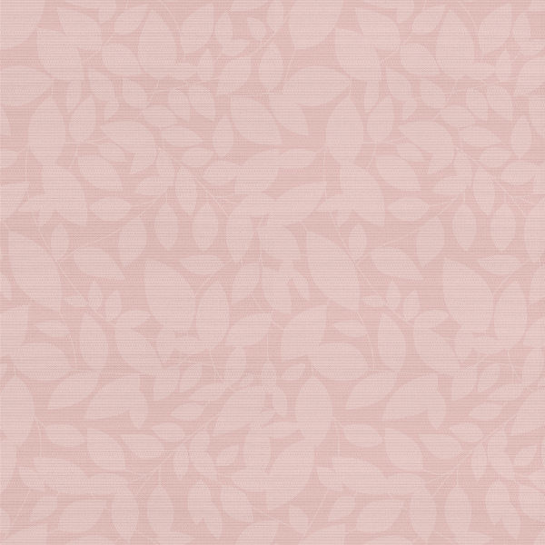 sorbet