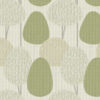 spruce