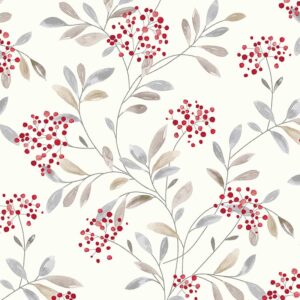 Allure - Amberley Redcurrant