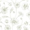 Juliet Spring