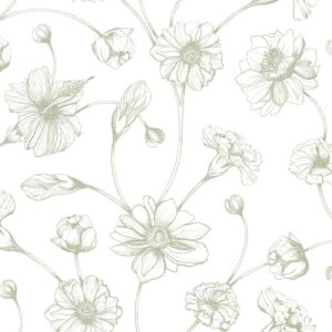 Allure - Juliet Spring