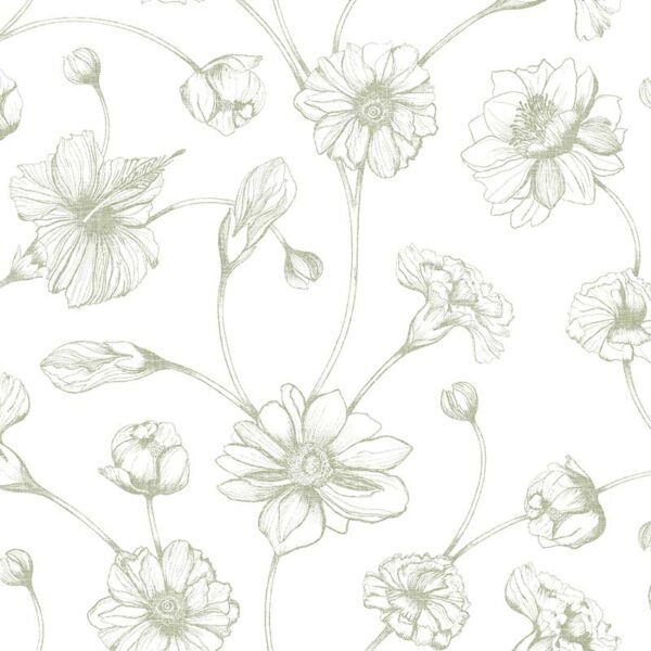 Juliet Spring