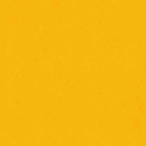 Carnival - Amber