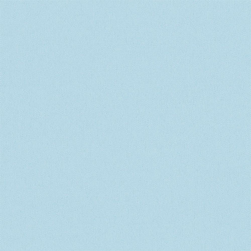 CARNIVAL_BO_GLACIER