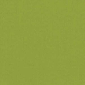 Carnival - Kiwi