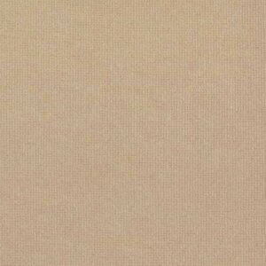 Guardian - Parchment