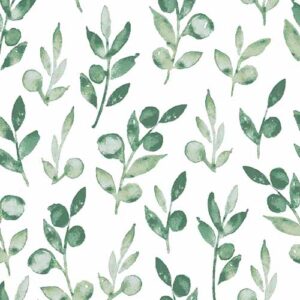 Olive - Eden