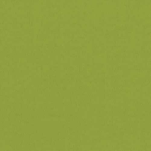 CARNIVAL_KIWI