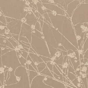 Collina - Champagne Fizz