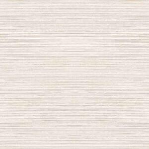 Strand - Sand Dune