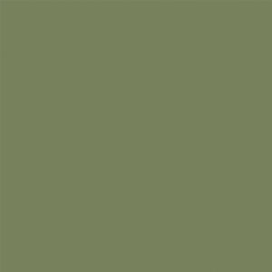 PT - Sunrise Evergreen