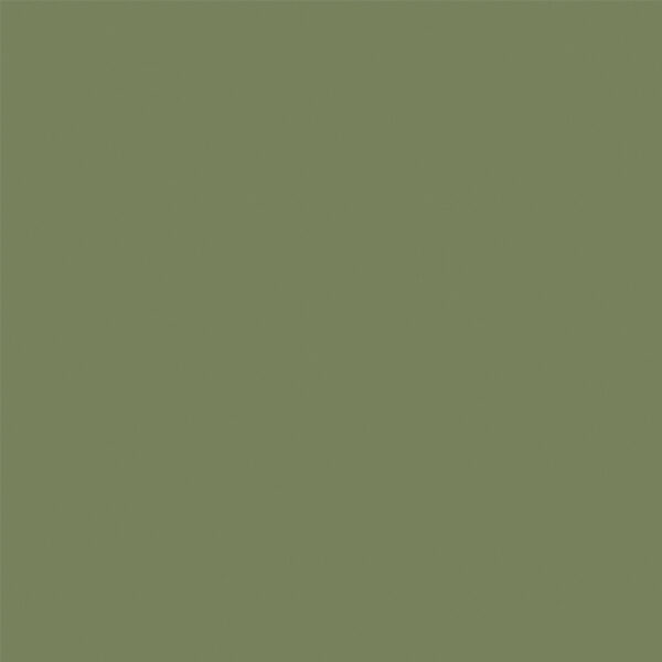 sunrise evergreen