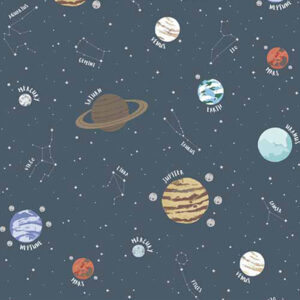 Louvolite Planetaruim Cosmos