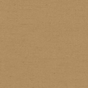 Louvolite Shot Silk Champagne