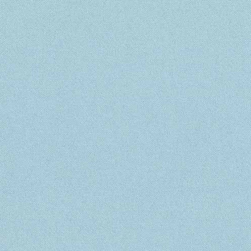 310.jpg