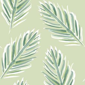 Louvolite Fern Apple Fiz