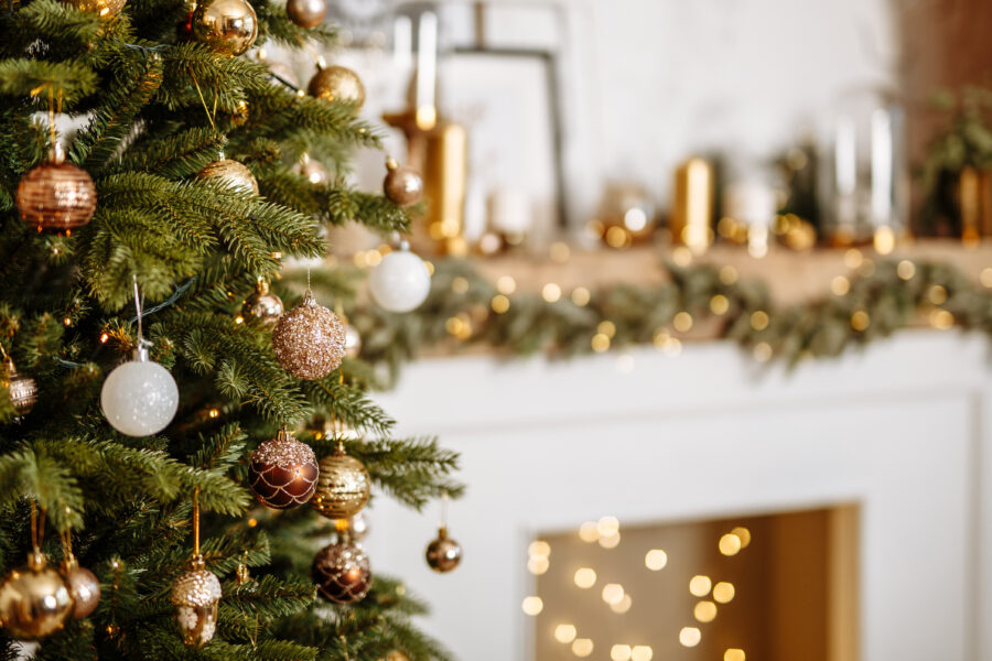 We Wish You A Merry Christmas