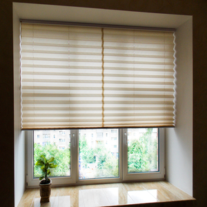 Pleated Blinds With GLE Blinds